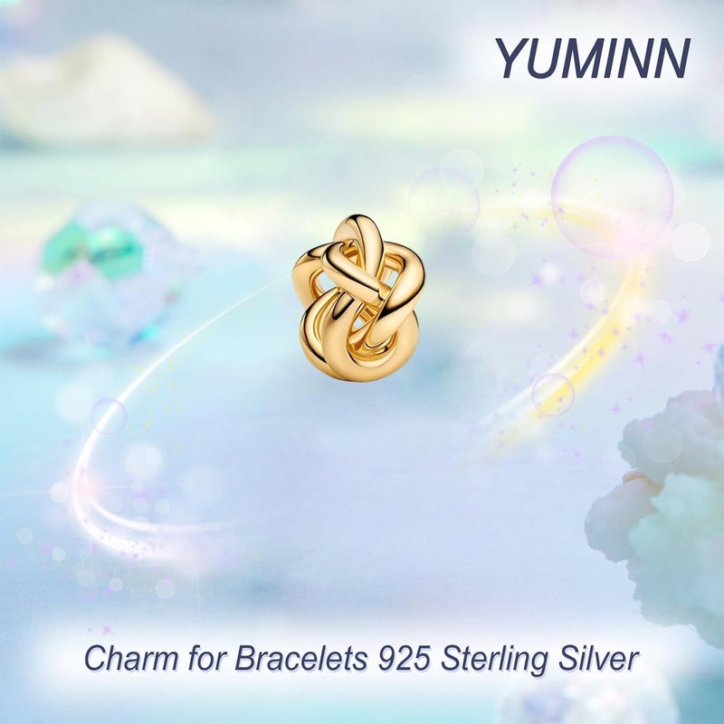 YUMINN 925 Sterling Silver Charms for Bracelets Gold Love and Heart Charms Cherry Blossom Dangle Beads Jewelry for Women - Image 2